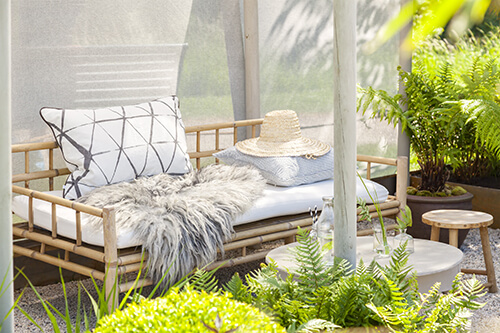 Lots of green plants in a bright breezy sitting room